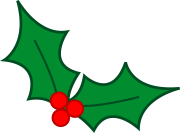 holidays_christmas_holly_1